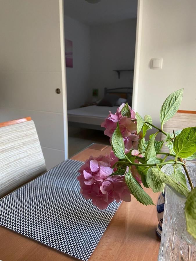 Duje & Roko Apartments シベニク エクステリア 写真